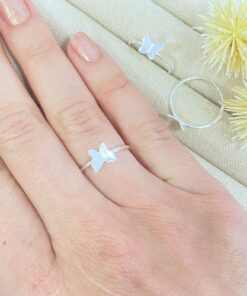 P5-2 ANEL ANI1027  1g LOTE 20