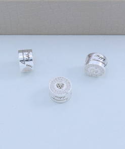 D5-60 Berloque  Coleção Pandora Importado 2,5g Lote 18