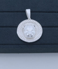 M1-35  Pingente Pit Bull  Tamanho 5,2cm 17.1g  Lote 2